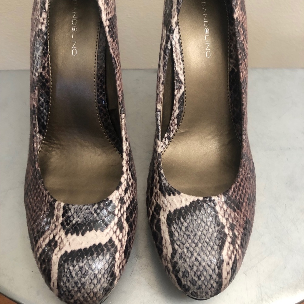 Bandolino Snakeskin Pattern Heels - Brown and Cream